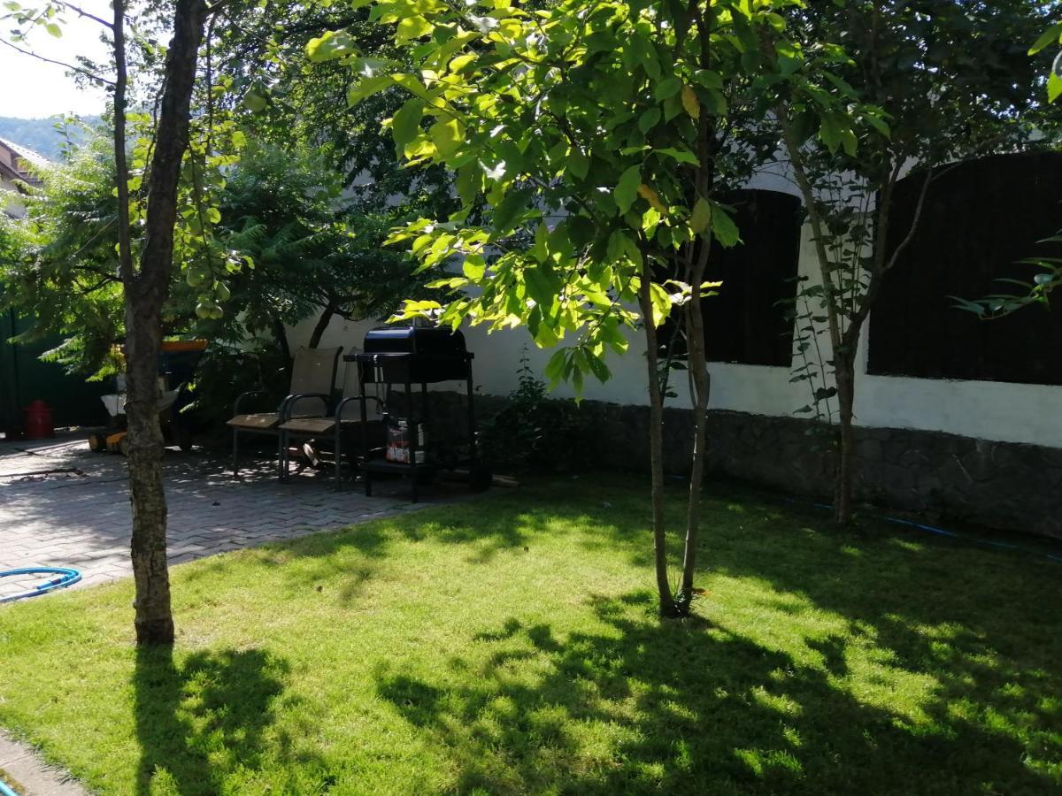 Bed and Breakfast Casa Scheiana Brașov Exterior foto