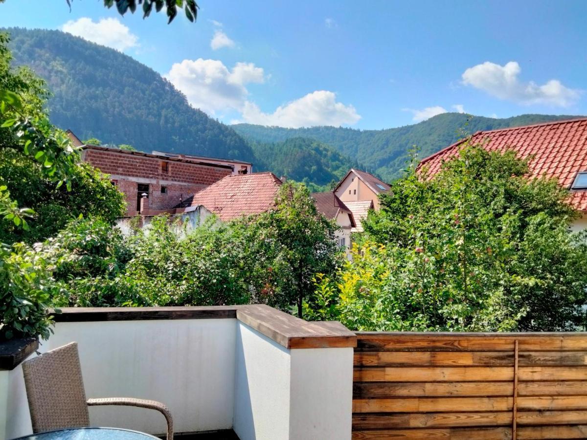 Bed and Breakfast Casa Scheiana Brașov Exterior foto